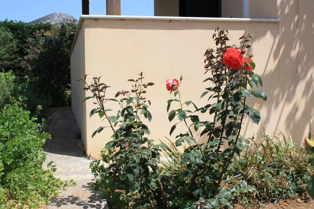 Naxos Cottage Kato Sangrion ห้อง รูปภาพ