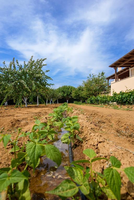 Naxos Cottage Kato Sangrion ภายนอก รูปภาพ